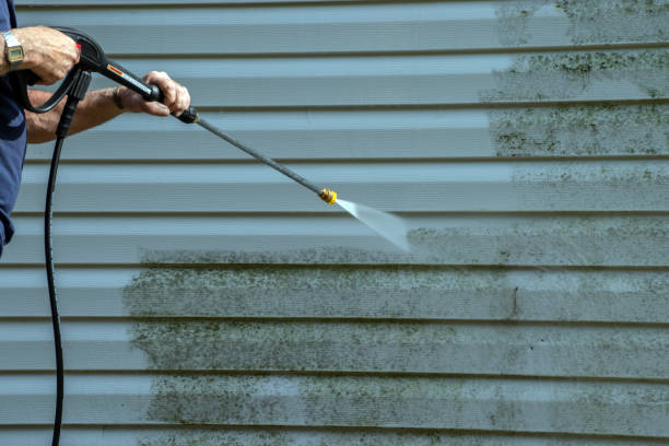 Best Window and Screen Pressure Cleaning in Northglenn, CO